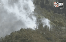 โคลอมเบียประกาศภาวะฉุกเฉินจากไฟป่า