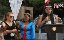 งานวิวาห์สัตว์เลี้ยงในเปรู