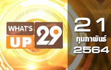 What’s up 29 21-02-64