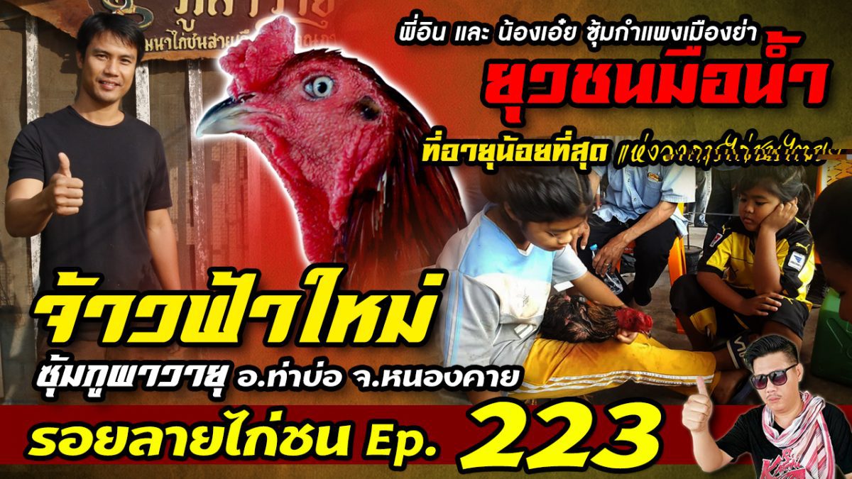 รอยลายไก่ชน เทป223 ออกอากาศวันพุธที่ 30 ม.ค. 62 ทูวิชั่น367