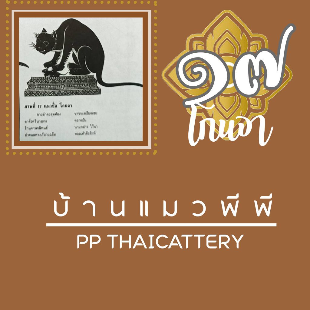 โกนจา