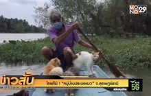ไทยก็มี ! “หมู่บ้านประมงแมว” จ.สุราษฎร์ธานี