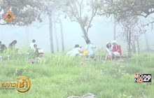 ททท.ชวนเที่ยวอีสานเขียวรับหน้าฝน