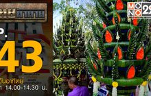 ไทยท้าทาย EP 43 : ท้าทำบายศรีเข้าประกวดงานประเพณีบุญเดือน6