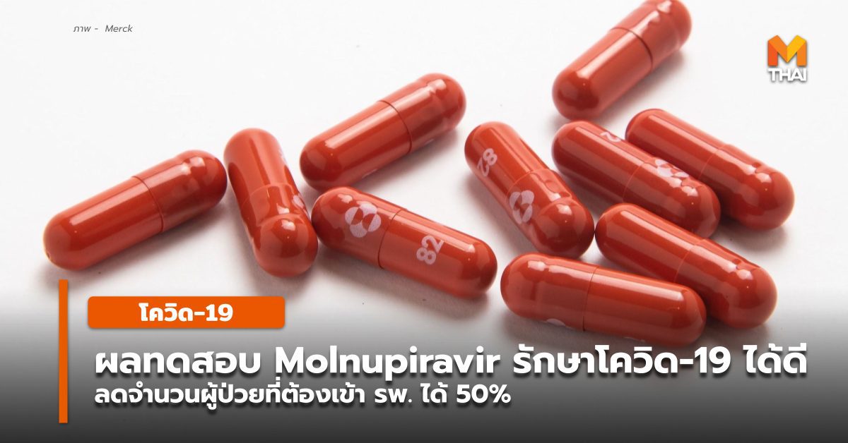 ข่าวดี ผลทดสอบ ยา molnupiravir พบรักษาผู้ป่วยโควิด-19 ได้ดี