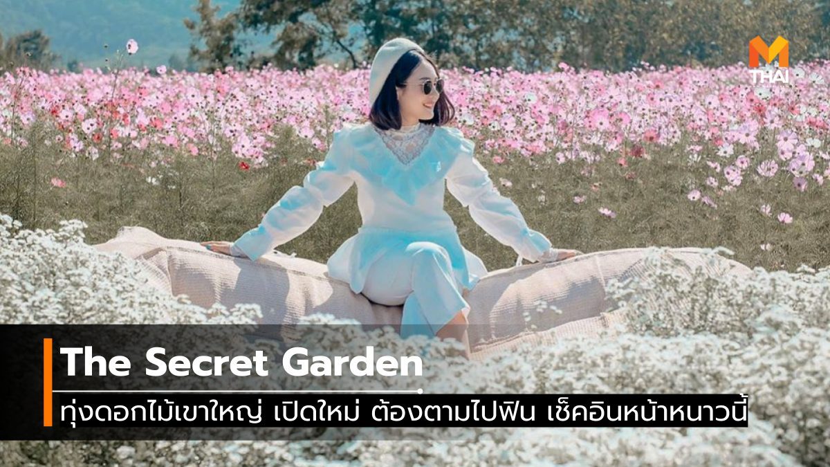 The Secret Garden ทุ่งดอกไม้เขาใหญ่ เปิดใหม่ ต้องตามไปฟิน เช็คอินหน้าหนาวนี้