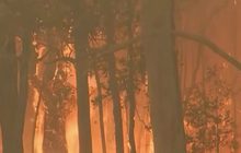 เจ้าหน้าที่ออสเตรเลียเร่งดับไฟป่ารุนแรง