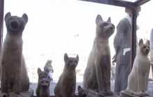 อียิปต์จัดแสดงมัมมี่สัตว์หลายชนิด