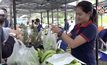 ชาวเขาขนผักปลอดสารพิษ ขายตลาดนัดชาวดอย