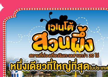 เวเนโต้ สวนผึ้ง ธรรมชาติสวยๆ จูงมือกันเที่ยว เตรียมรับลมหนาว เคล้าคลอดนตรี ชิลไม่ไหวไปกับ Chang Music Connection Presents Season of Love Song ครั้งที่ 13