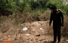 พบสาวป่วยทางจิต ถลกหนังสุนัขตายเกลื่อนนับสิบตัว