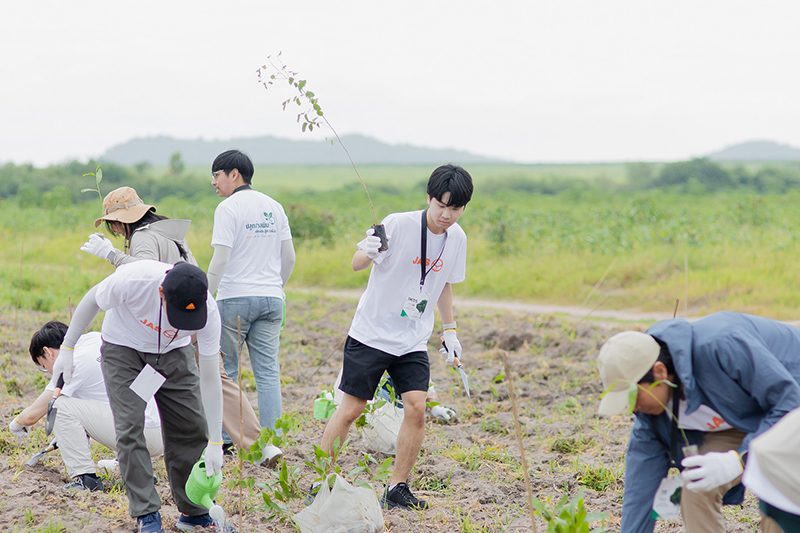 ปลูกป่า