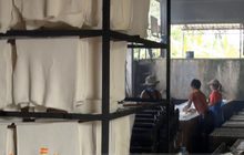 เกษตรกรร้องรัฐบาลเร่งแก้ปัญหาราคายางพารา