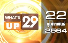 What’s Up 29 22-02-64