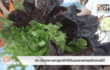 สภ.เมืองพะเยาปลูกผักไร้ดินลดรายจ่ายสร้างรายได้