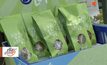 ขนมปังจิ้งหรีดในฟินแลนด์