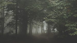 คาถาเดินป่าเดินเขา ใช้ป้องกันงูและสัตว์ร้ายต่างๆ