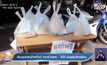 ร้านอุปกรณ์กีฬาใจดี แจกข้าวสาร -ไข่ไก่ ช่วยผู้เดือดร้อน