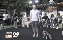 ซีซาร์ เปิดปรากฏการณ์ “น้องหมาต่อแถวยาว… ที่สุดในประเทศ”