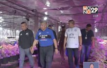 บุกทลายโรงเรือนปลูกกัญชาออร์แกนิค จ.นครราชสีมา