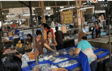 คาดรู้ผลตรวจหมึกพิษใน 2 วัน จ.ยโสธร