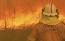 “ออสเตรเลีย” ประกาศภาวะฉุกเฉินไฟป่า