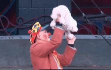 เมืองแห่งคณะละครสัตว์ในจีน