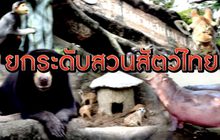 The Morning – สวนสัตว์เมืองไทยพัฒนาไปไกลแค่ไหนแล้ว?