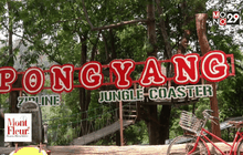 อนุญาตเครื่องเล่นจังเกิล โคสเตอร์ ดำเนินการต่อ