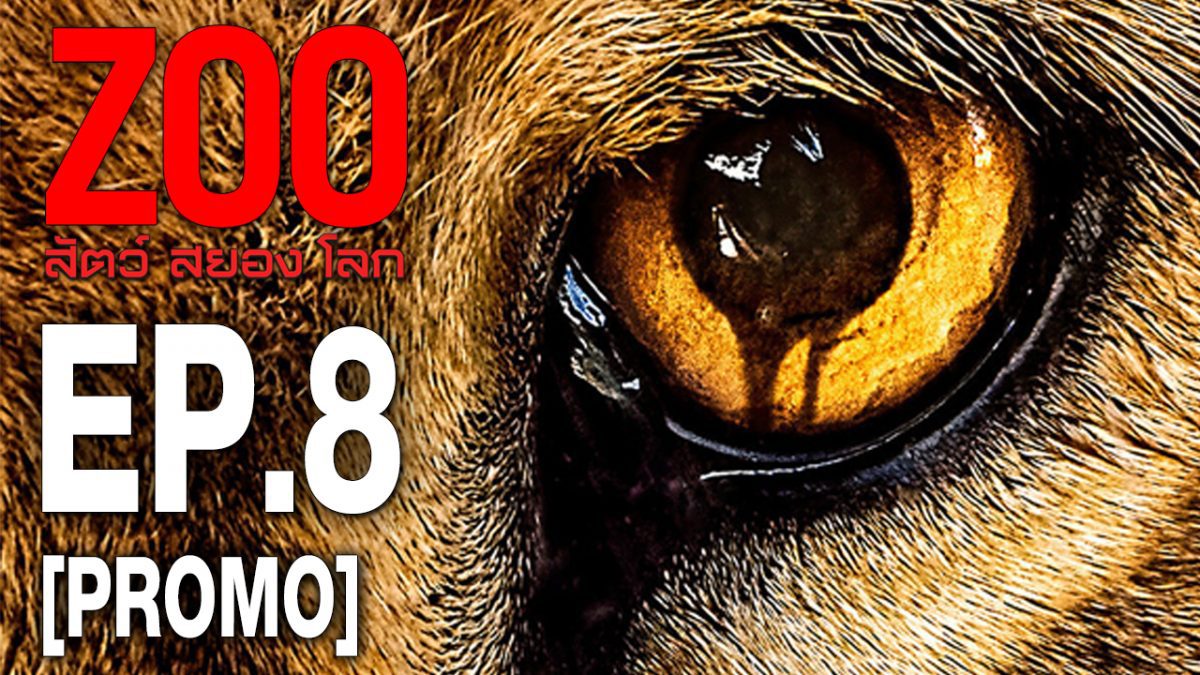 Zoo สัตว์ สยอง โลก ปี 2 EP.08 [PROMO]