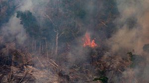 ‘บราซิล’ ปฏิเสธเงินกองทุนช่วยดับไฟป่าแอมะซอน 600 ล้านบาทจาก G7
