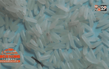 Good Morning Thailand 28-01-59