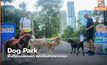 Dog Park พื้นที่สวนน้องหมา แห่งใหม่ใจกลางกรุง