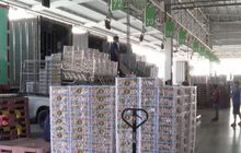 กมธ.สารเคมี ลงพื้นที่สุ่มตรวจผักตลาดไท 