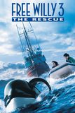 Free Willy 3 : The Rescue ฟรี วิลลี่ เพื่อเพื่อนด้วยหัวใจอันยิ่งใหญ่ 3