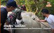 ตามหา “เมย์โสด” หลังเขียนบอกสถานะบนโขดหินใน อช.น้ำตกบัวตอง – น้ำพุเจ็ดสี