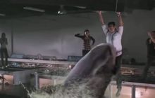 หนังฉลามพันธุ์โหดที่คุณอาจไม่เคยดูมาก่อน!