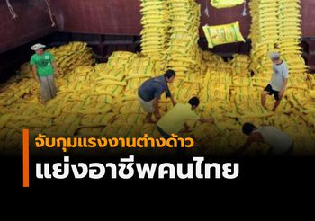 จับกุมแรงงานต่างด้าวแย่งอาชีพคนไทยแล้วกว่า 300 คน