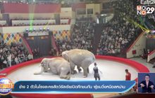 ช้าง 2 ตัวในโรงละครสัตว์รัสเซียเปิดศึกชนกัน ผู้ชมวิ่งหนีอลหม่าน