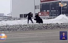 หมีดำพุ่งใส่เจ้าของริมถนนในรัสเซีย