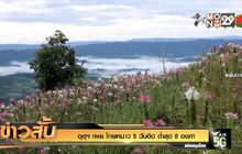 อุตุฯ เผย ไทยหนาว 5 วันติด ต่ำสุด 8 องศา