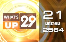 What’s Up 29 21-01-64
