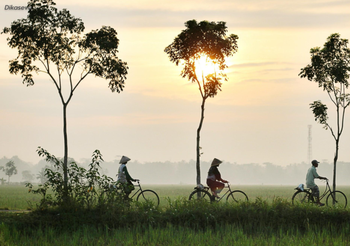 พยากรณ์อากาศ 8 ม.ค. 63 – ไทยตอนบนอากาศเย็น มีหมอกในตอนเช้า