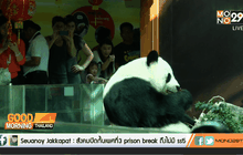 ช่วงช่วง-หลินฮุ่ย ร่วมฉลองตรุษจีน