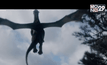 คอหนังเตรียมต้อนรับมังกรขนปุยพันธุ์ใหม่ ใน Pete’s Dragon
