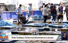 เฝ้าระวังเข้มชายแดนกาญจนบุรี ป้องกันโควิด-19