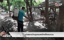 ช่วยชาวบ้านถูกแมลงปีกแข็งรบกวน