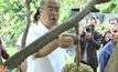 ตัดผลผลิตทุเรียน อ.กาบเชิง เอาฤกษ์เอาชัย