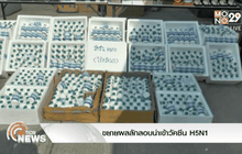 ขยายผลลักลอบนำเข้าวัคซีน H5N1