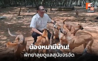 พัทยาลงพื้นที่ศูนย์พักพิงสุนัขจรจัด เตรียมสร้างแห่งใหม่ 30 ไร่